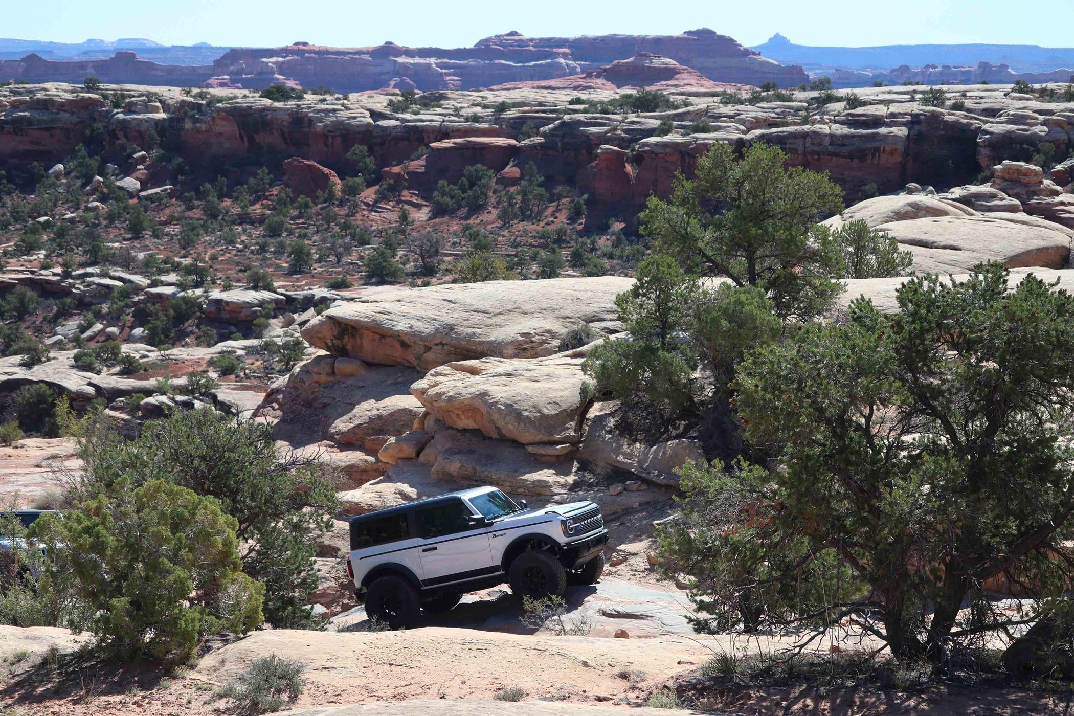 Trail 1.jpg
