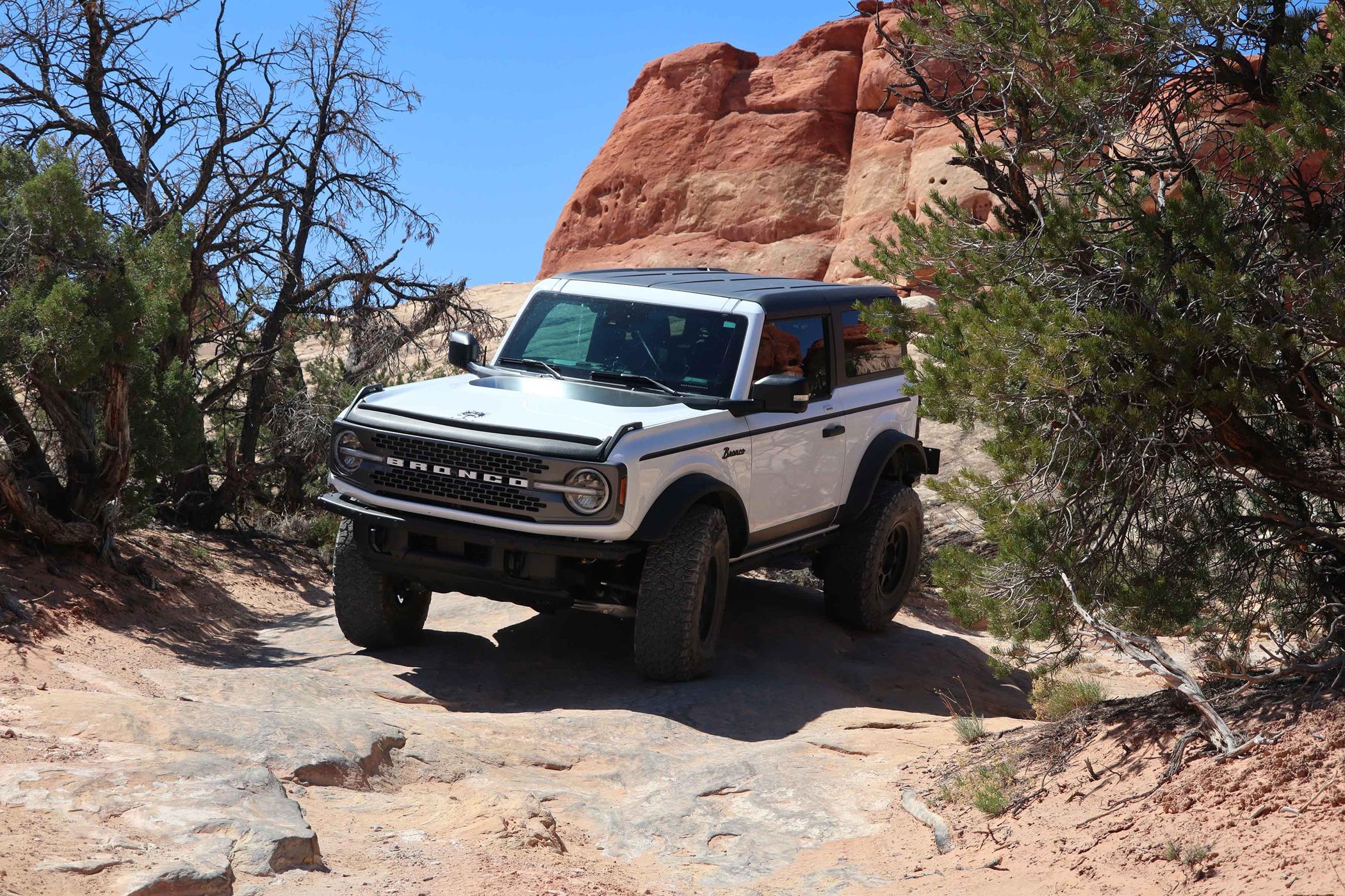 Trail 7.jpg