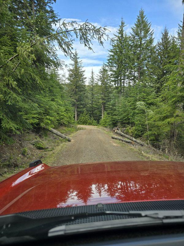 Ford Bronco Maiden Solo Off-Road and Camping Voyage in Bronco data