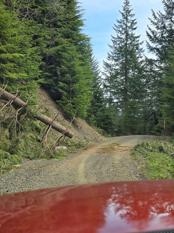 Ford Bronco Maiden Solo Off-Road and Camping Voyage in Bronco data