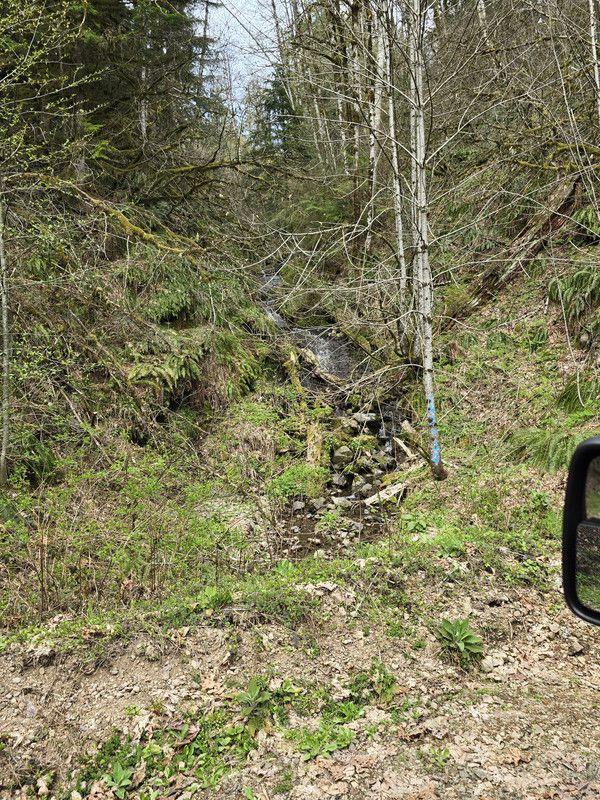 Ford Bronco Maiden Solo Off-Road and Camping Voyage in Bronco data