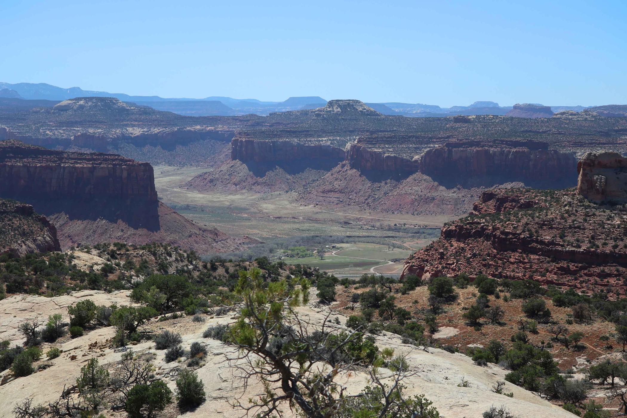 Trail 3.jpg