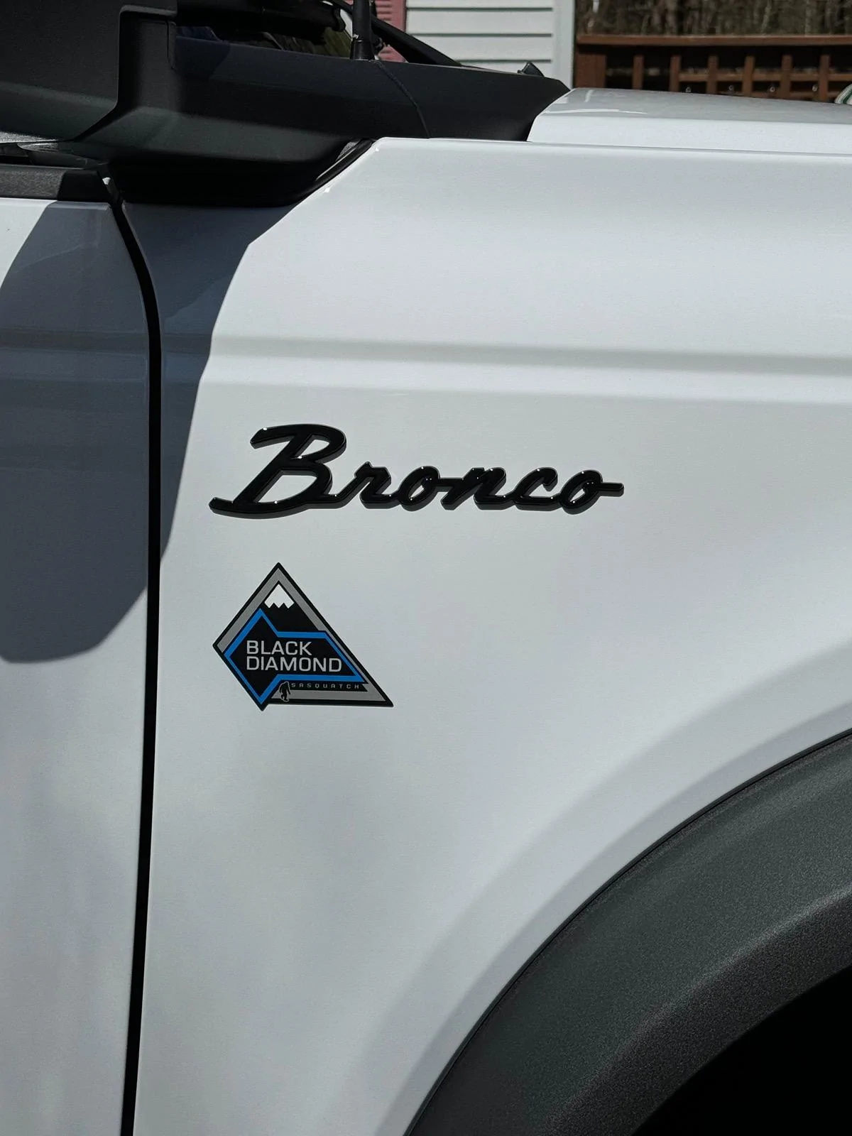 Ford Bronco Today's Mods IMG_2870
