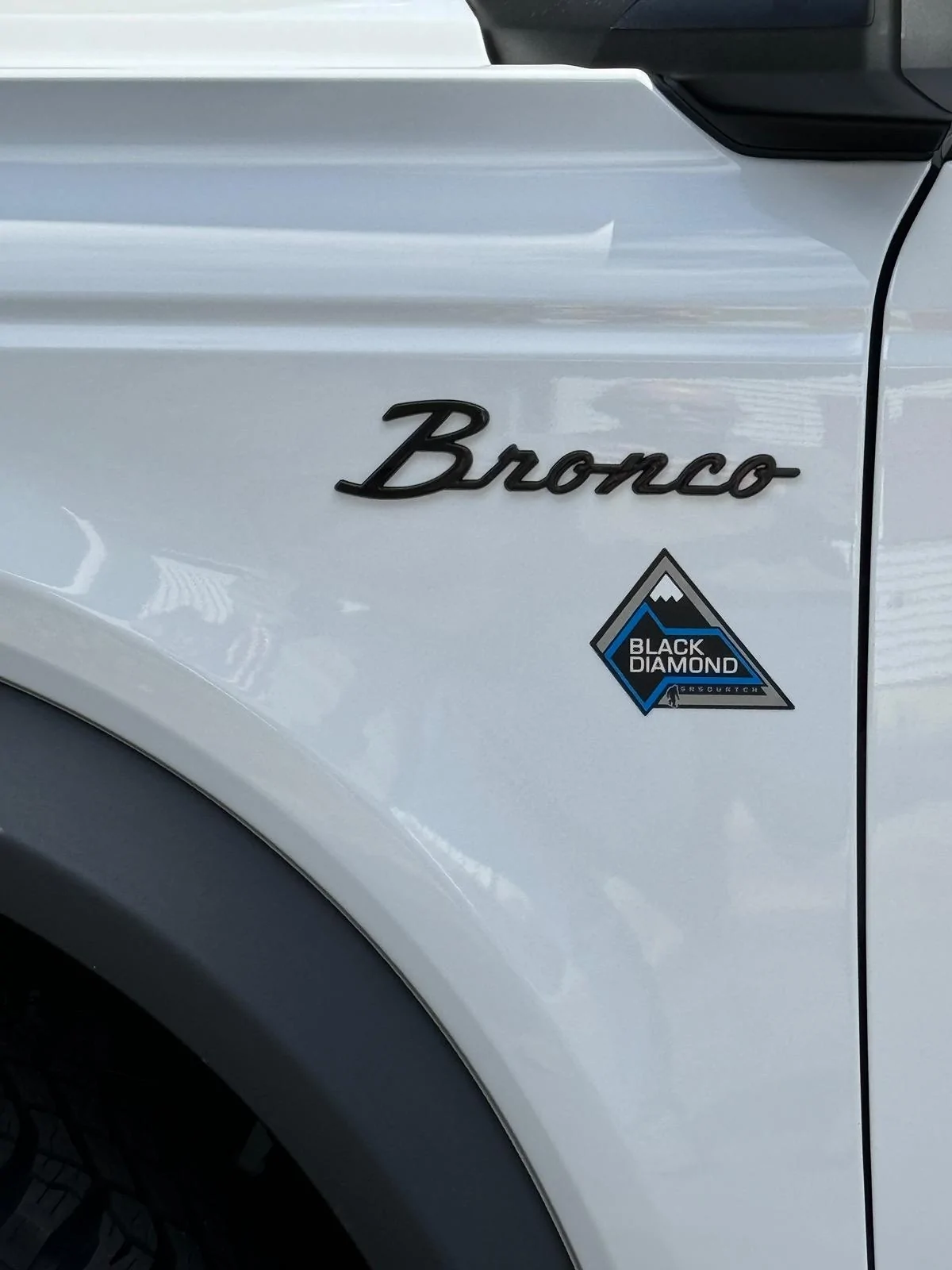 Ford Bronco Today's Mods IMG_2869