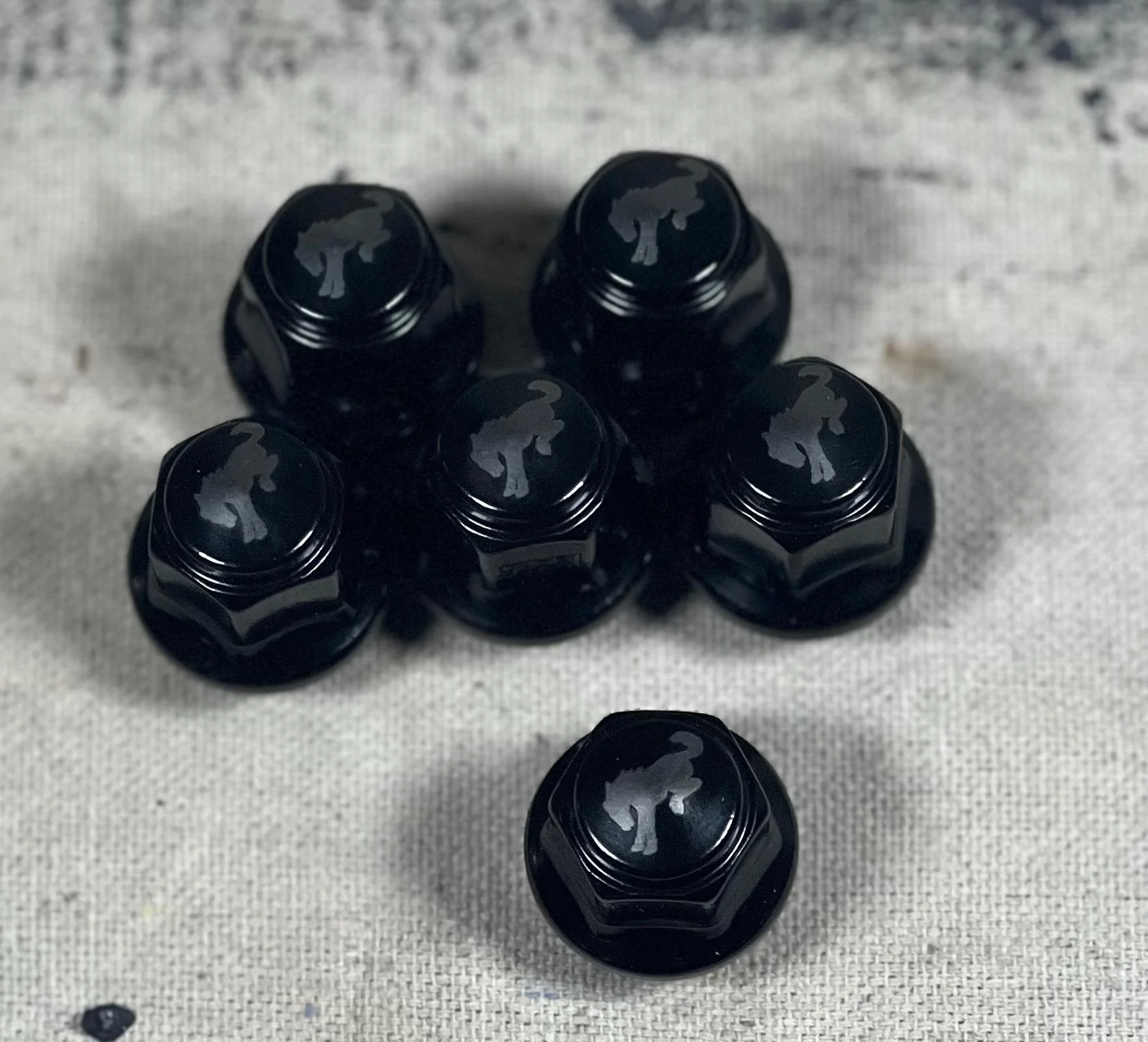 Ford Bronco FS: Custom Bronco Logo Lug Nuts IMG_1176