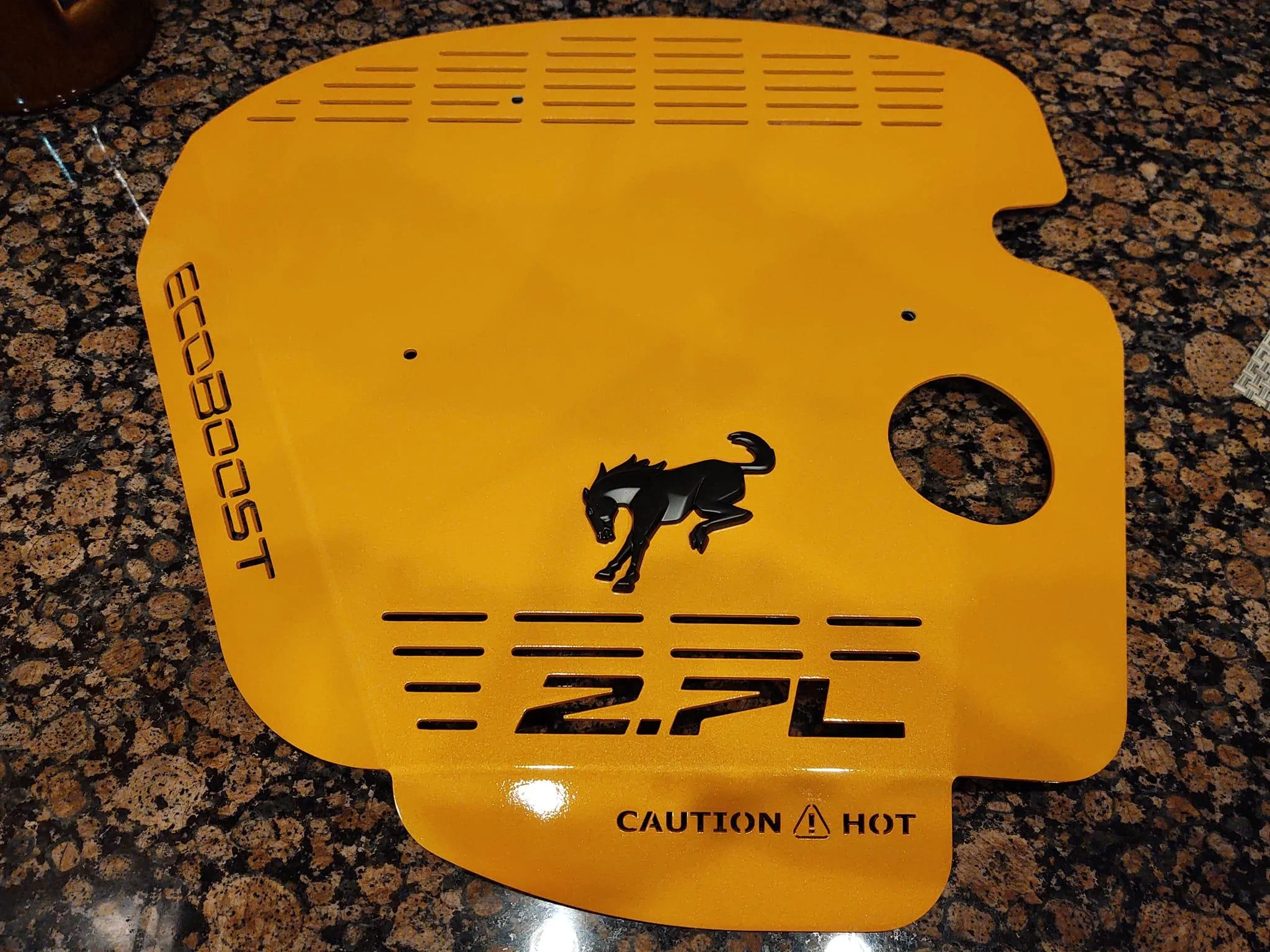 Ford Bronco Horsey Bronco logo on dashboard EngineCover3
