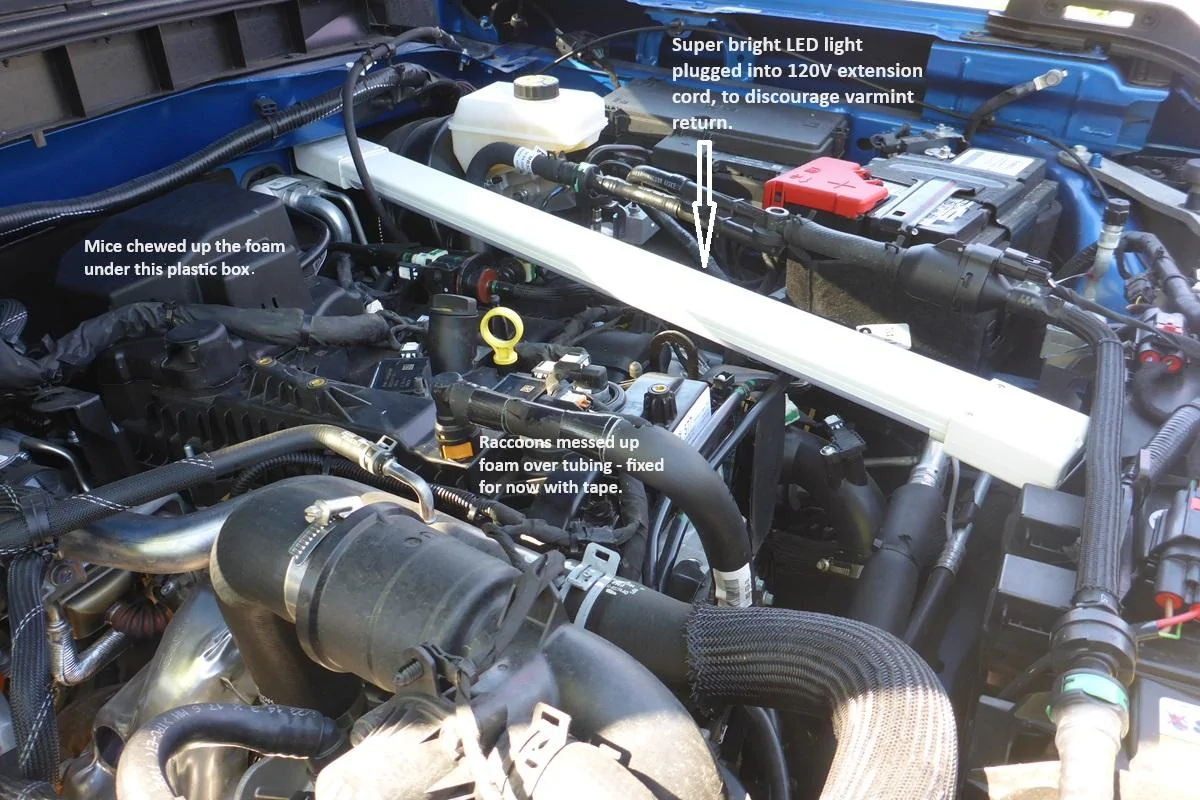Ford Bronco Recall needed - Soy based wiring VarmintBroncoEngin