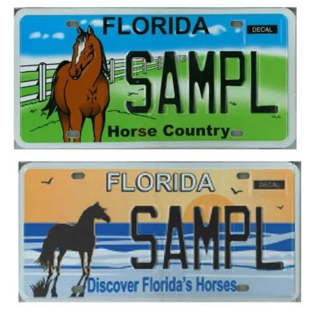 Ford Bronco Florida Off-Road Foundation FL Horse Plates