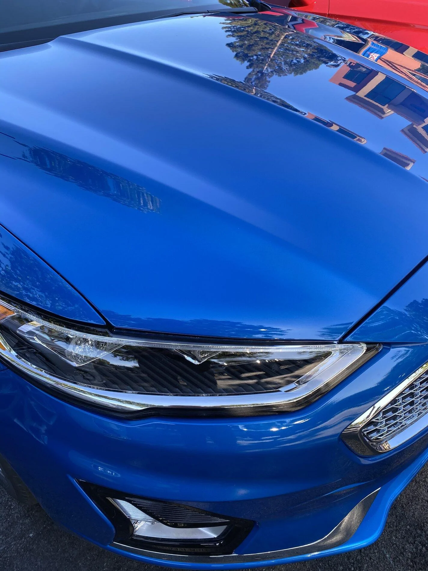 Ford Bronco Velocity Blue - Still Late Availability? 8AEBD1FA-6AA6-493F-B31D-DF7ACC9D669E