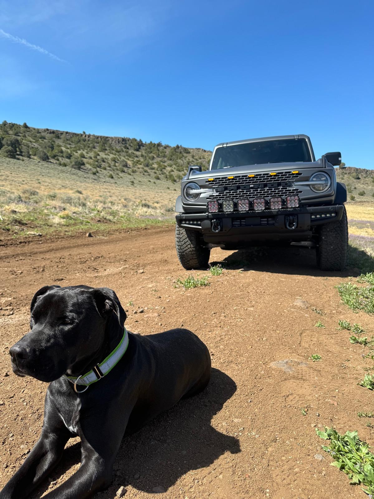 Ford Bronco What did you do TO / WITH your Bronco today? 👨🏻‍🔧🧰🚿🛠 IMG_8753