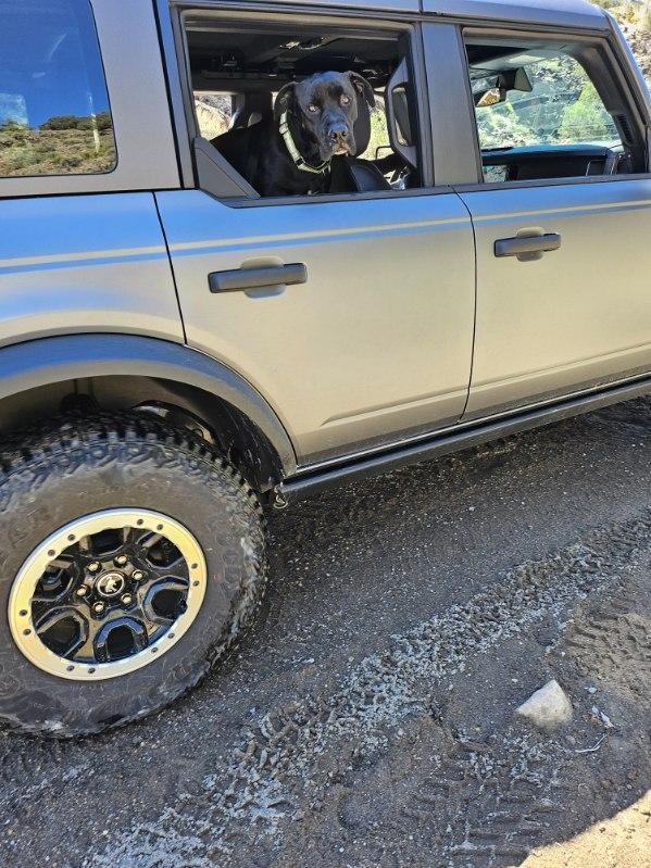 Ford Bronco What did you do TO / WITH your Bronco today? 👨🏻‍🔧🧰🚿🛠 image000002