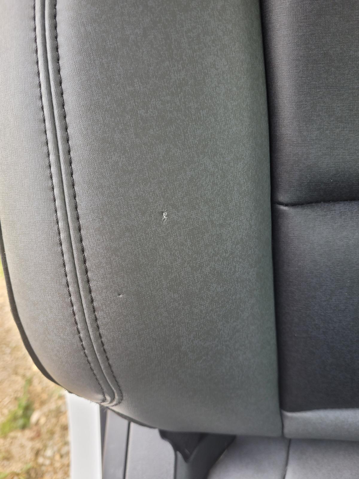 Ford Bronco Patching MGV seats 20240429_130242