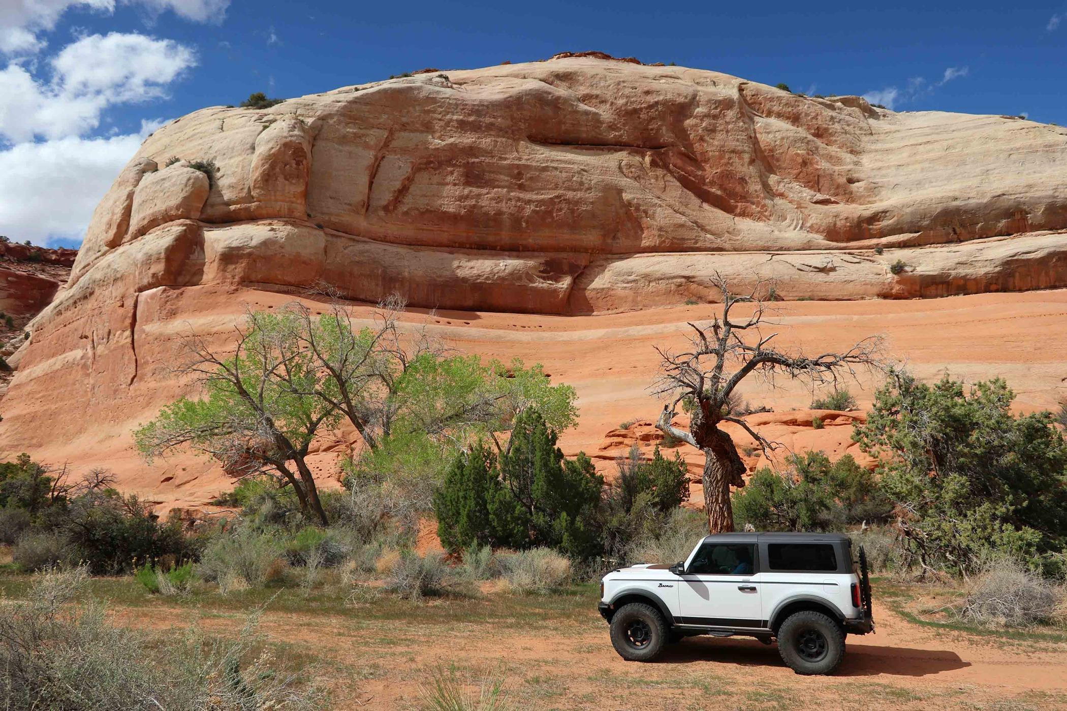 Ford Bronco What did you do TO / WITH your Bronco today? 👨🏻‍🔧🧰🚿🛠 Trail 4
