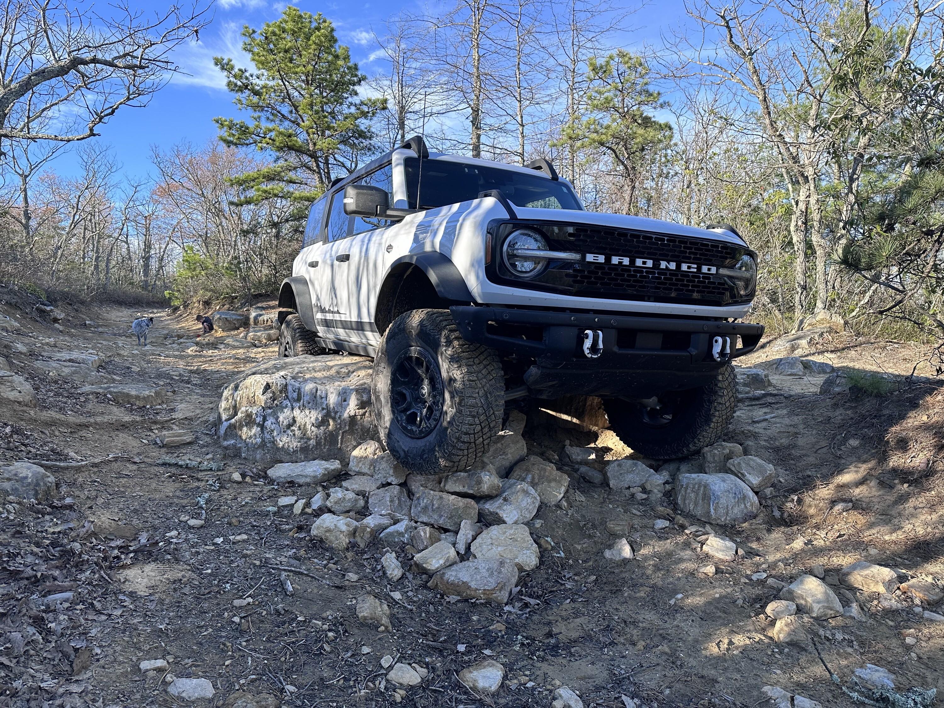 Ford Bronco IM A HORSE - Definitely not a build. 53691852721_2a6004fc87_4k