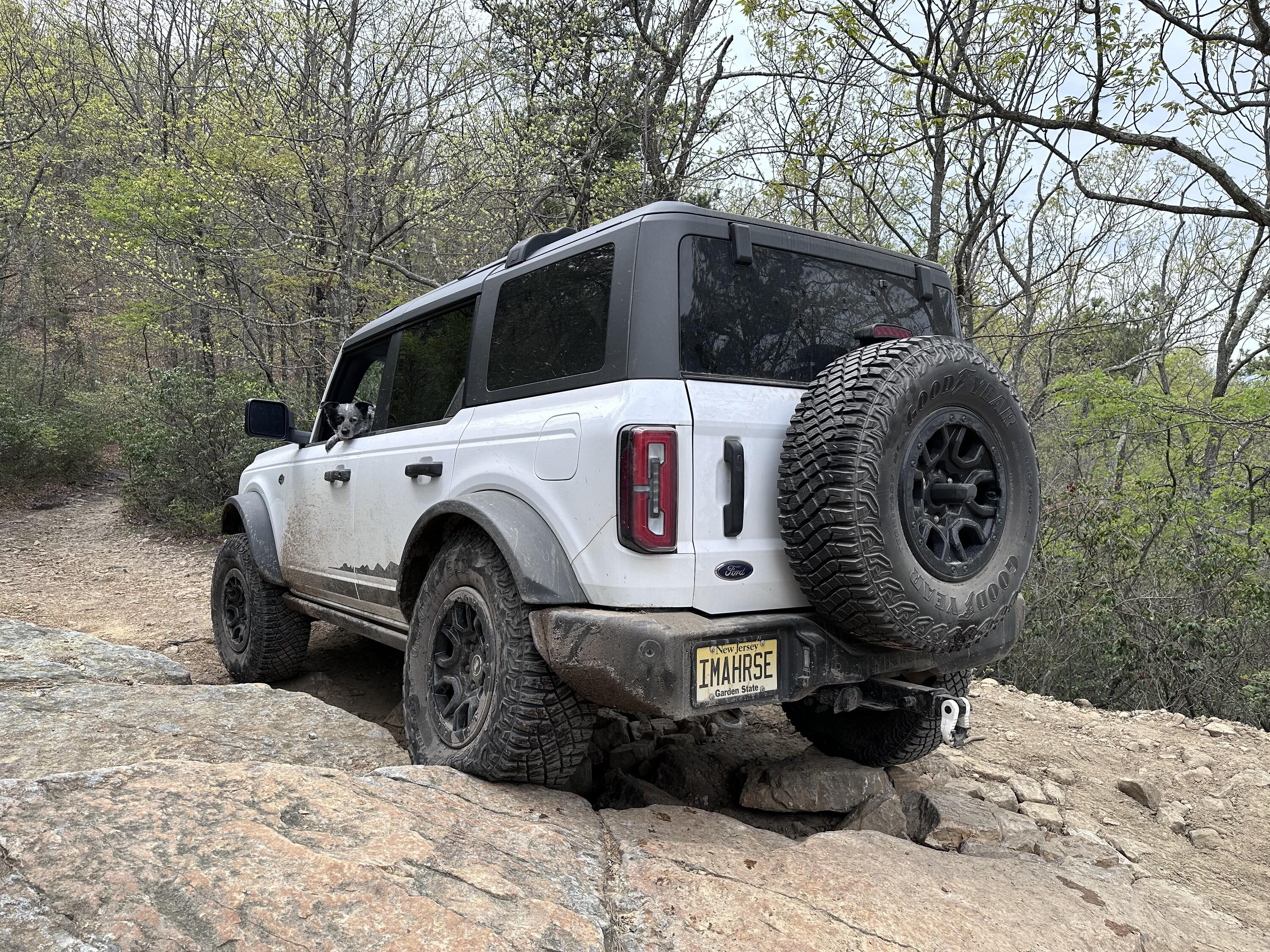 Ford Bronco IM A HORSE - Definitely not a build. 53692286375_7b3d08ee30_4k