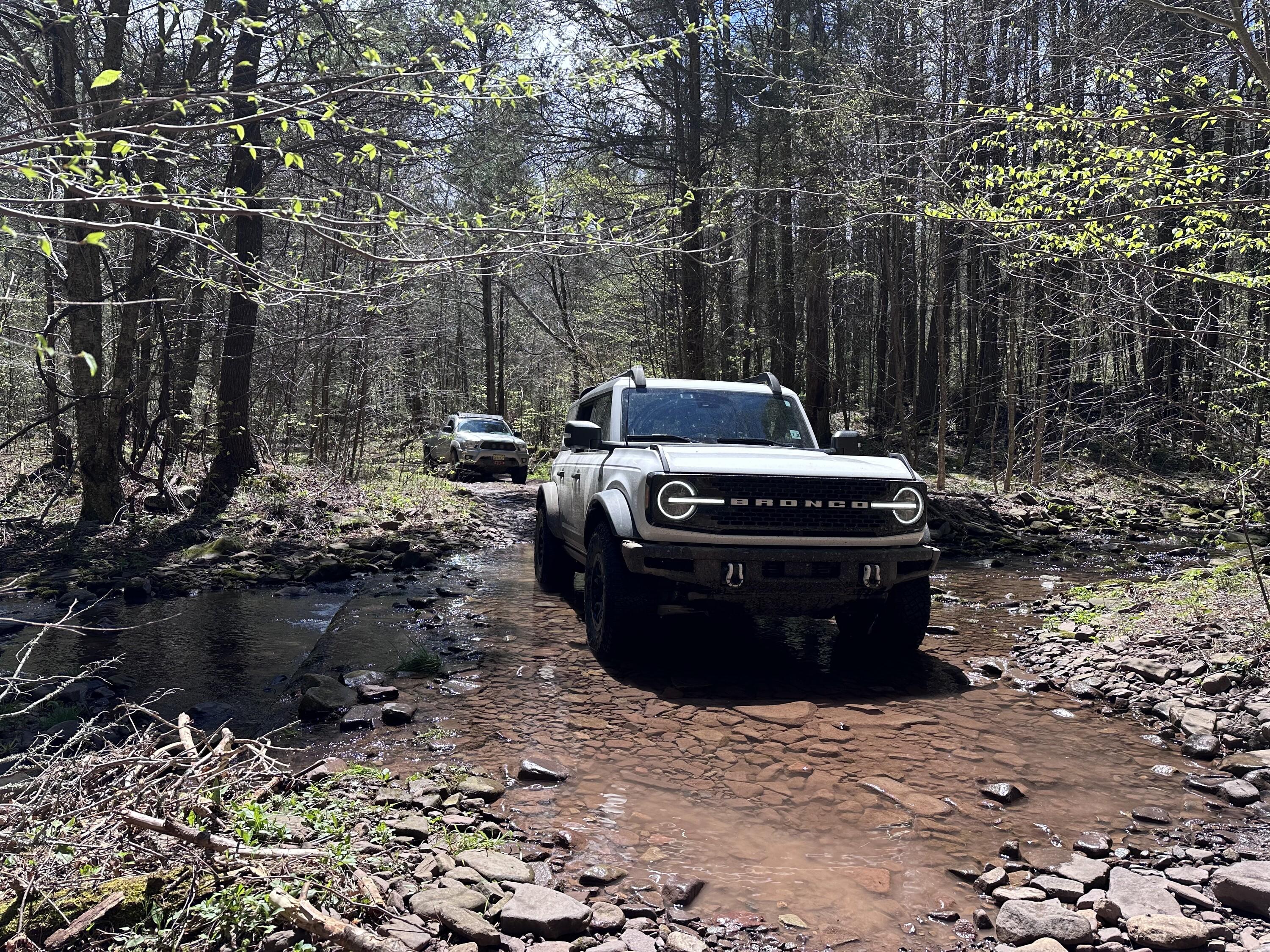 Ford Bronco IM A HORSE - Definitely not a build. 53690969452_6aaed0d6b1_4k