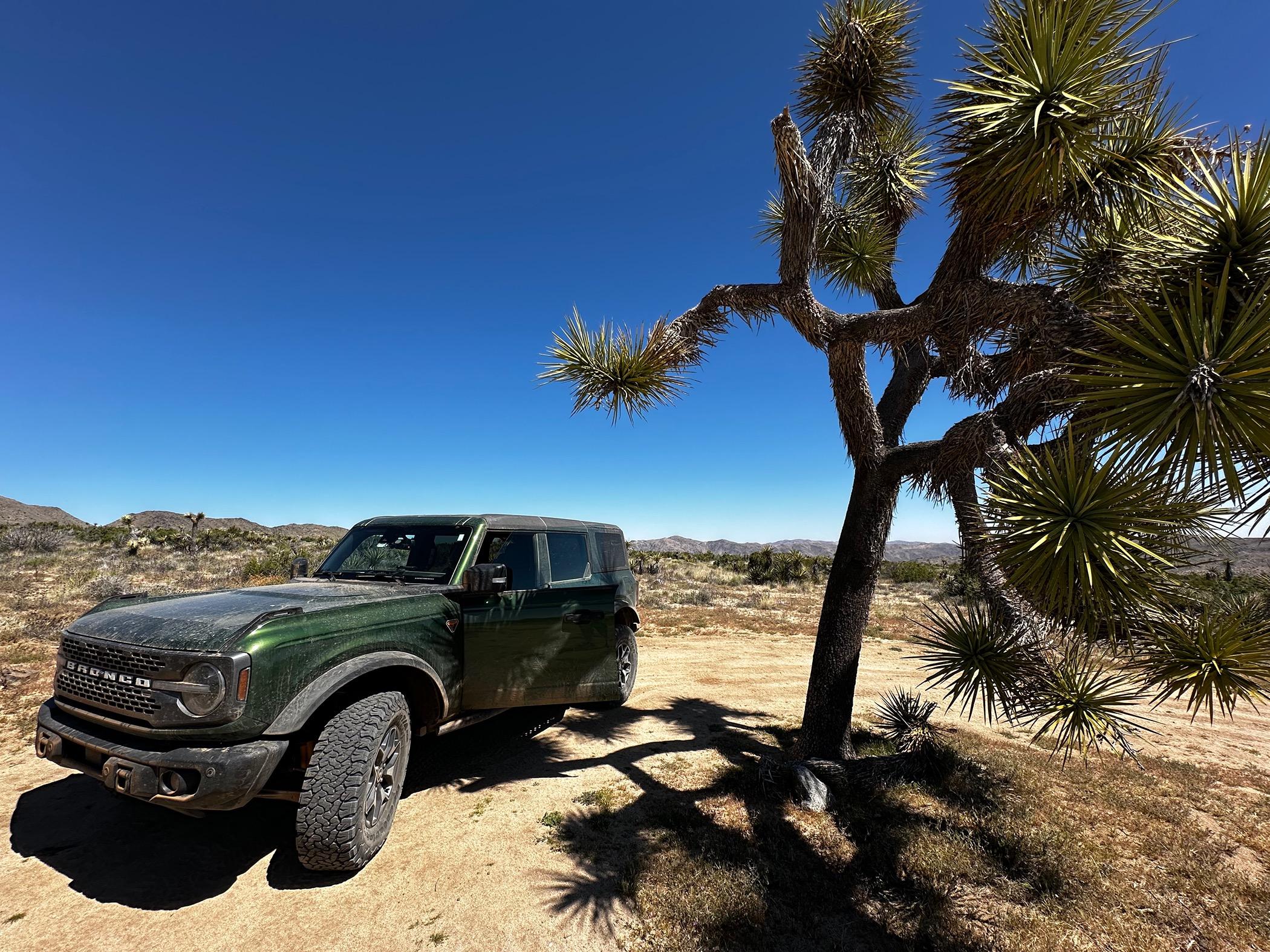 Ford Bronco Baja Wheeling + Bronco Knoll & Joshua Tree IMG_4329