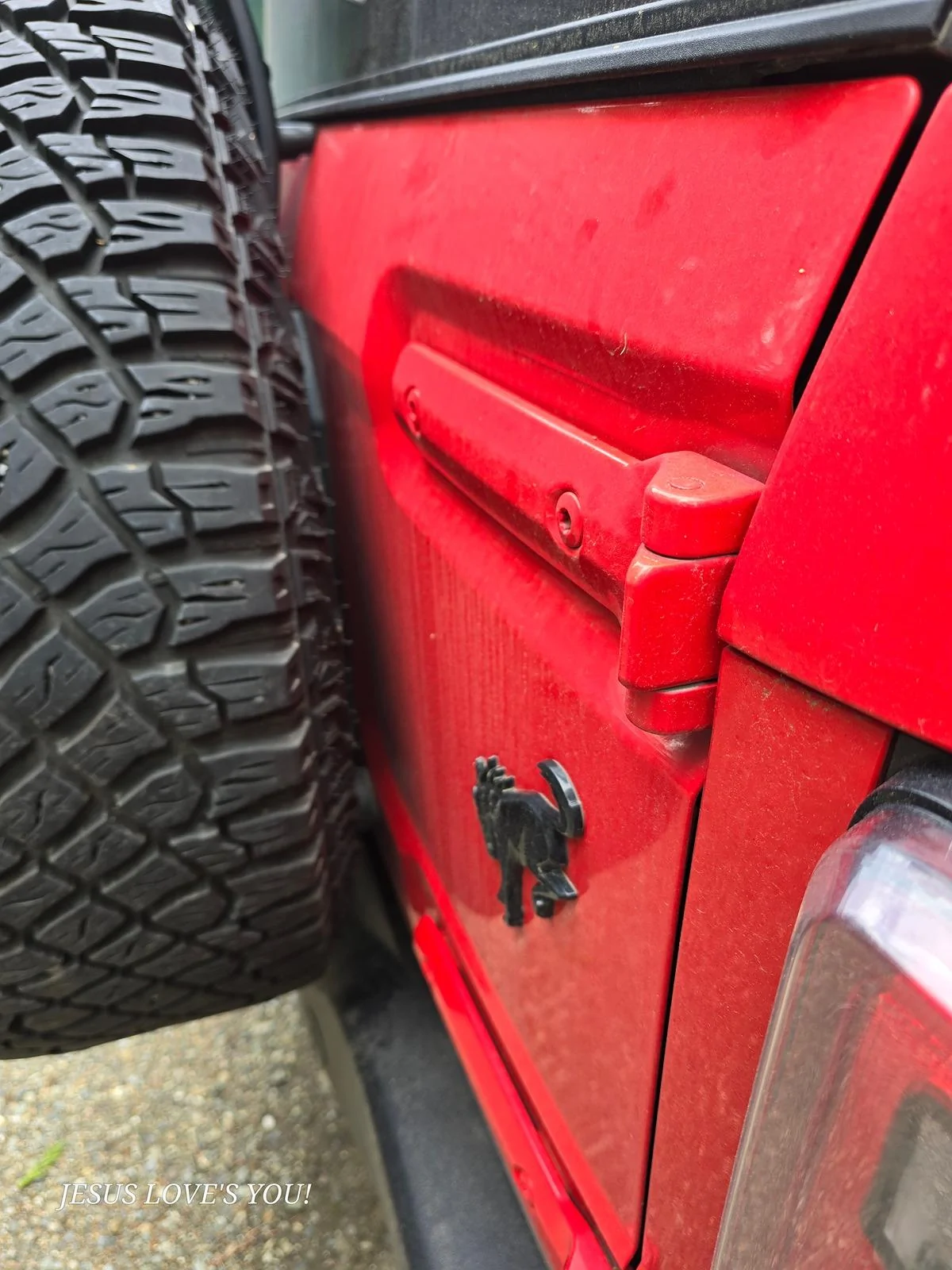 Ford Bronco Rear tailgate door paint rubbing off! 1000000645