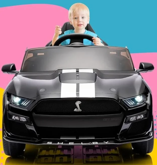 Ford Bronco Mustang inspired grill Screenshot_2024-05-14_090512
