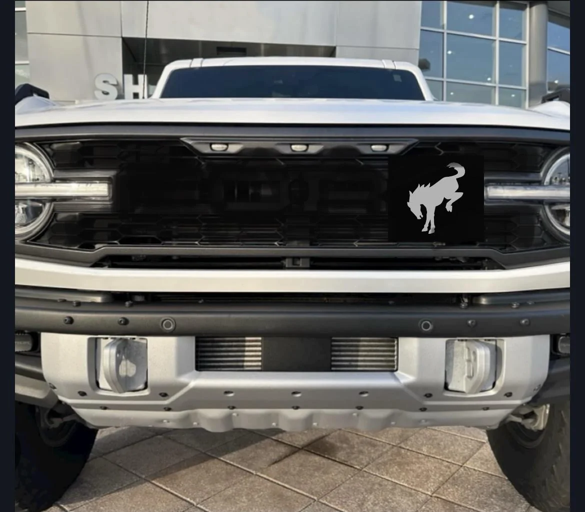 Ford Bronco Mustang inspired grill IMG_2871