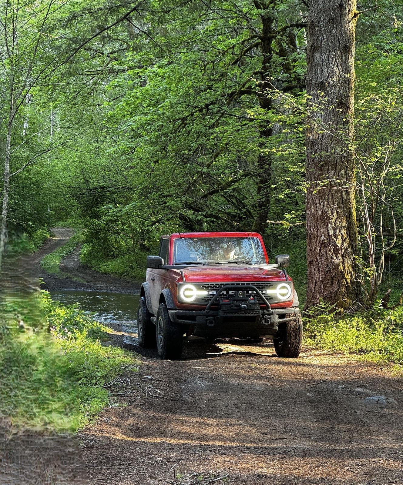 Ford Bronco Bronco Team 2 door. data
