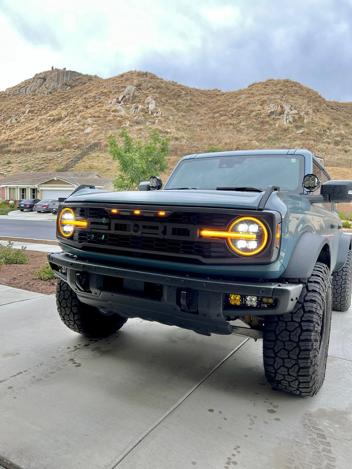 Ford Bronco FS: Complete OEM Raptor Grille IMG_4767