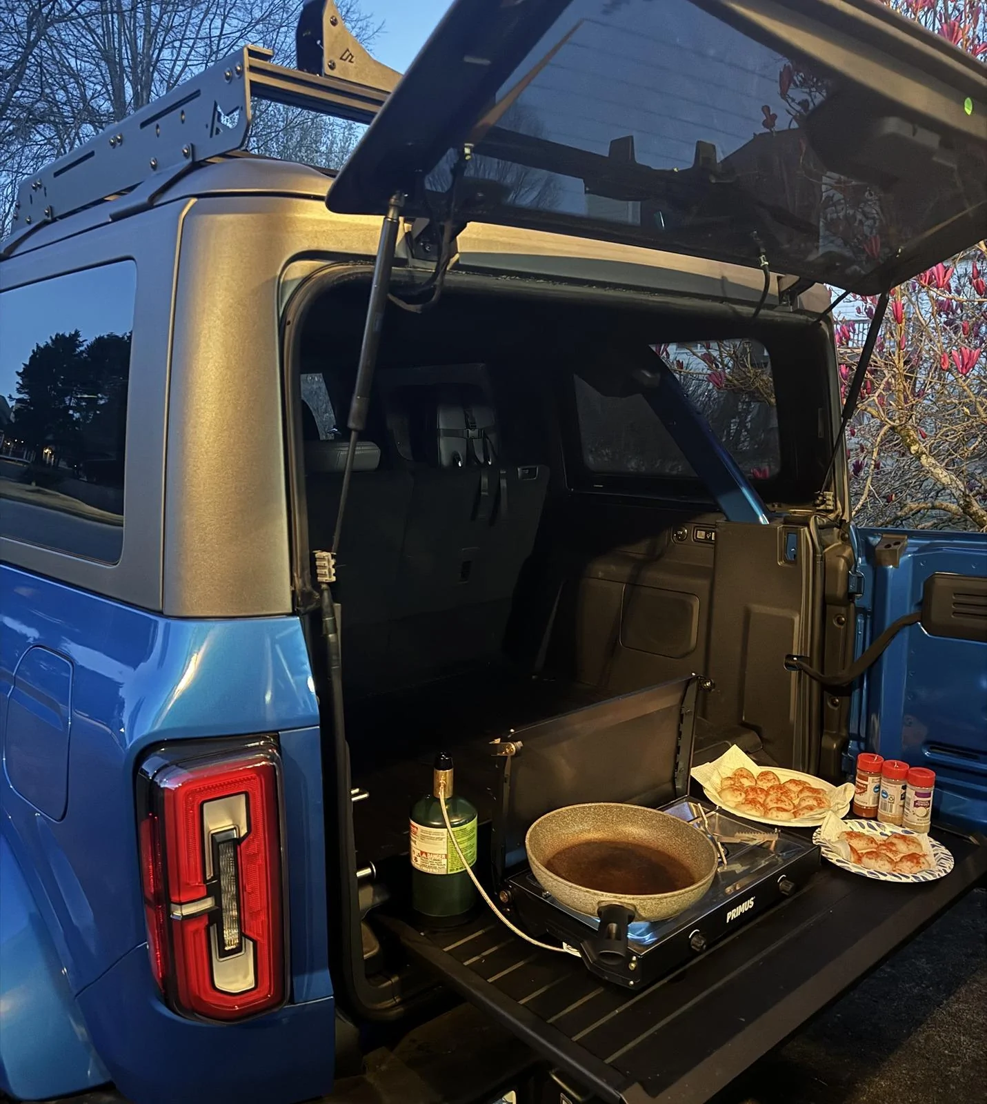 Ford Bronco OEM 4DR Bronco Slideout Tailgate - $850 IMG_2132
