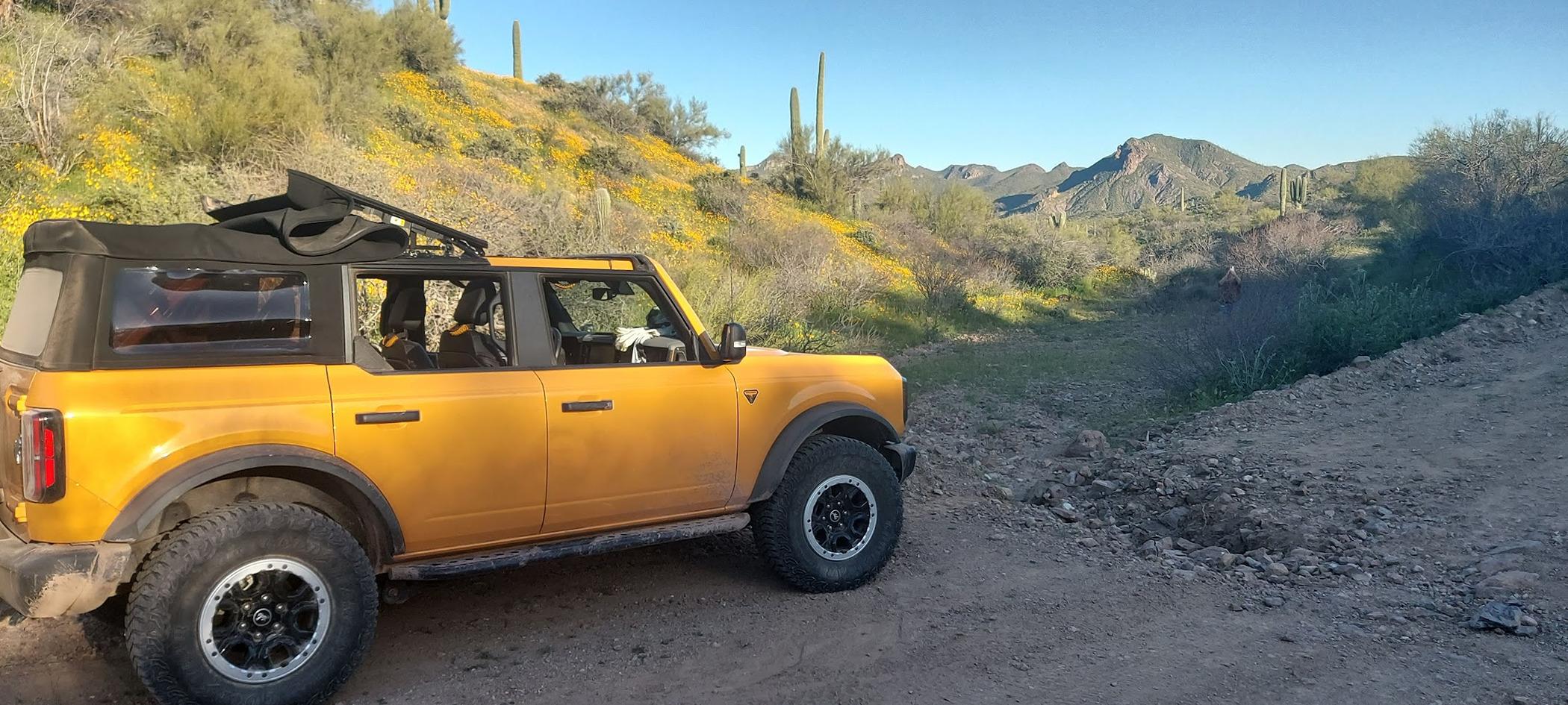 Ford Bronco Cyber Orange IRL poppies