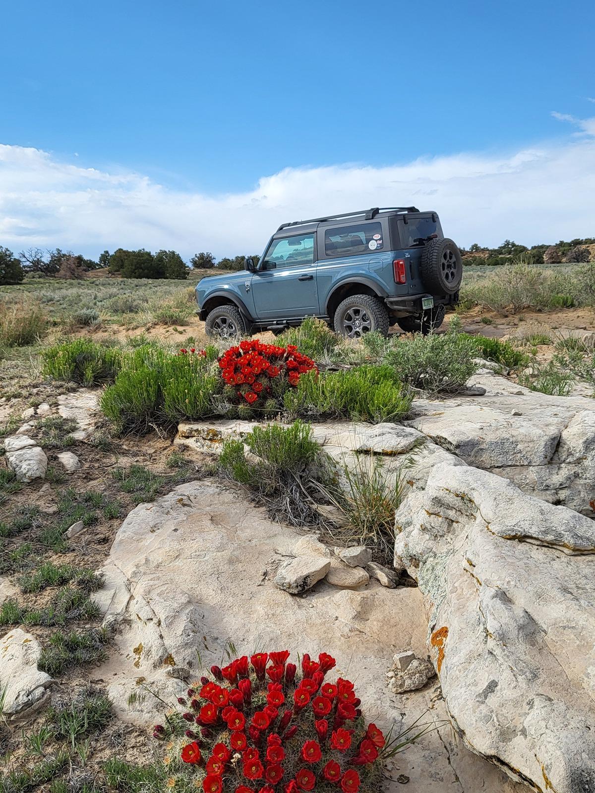 Ford Bronco What did you do TO / WITH your Bronco today? 👨🏻‍🔧🧰🚿🛠 20240519_175018