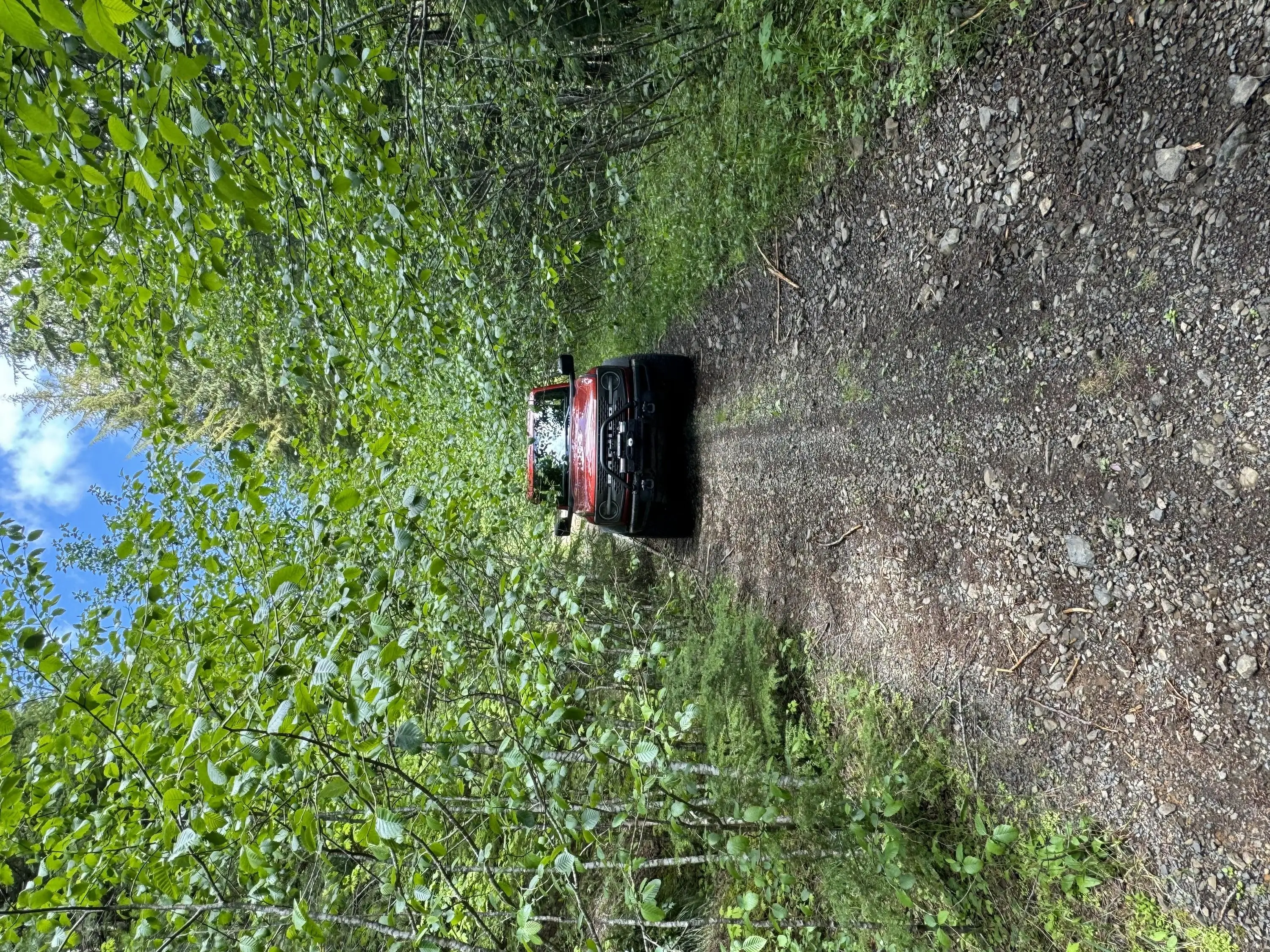 Ford Bronco Yacolt, WA Camping Trip (Gifford Forest) (Photo Heavy!) data