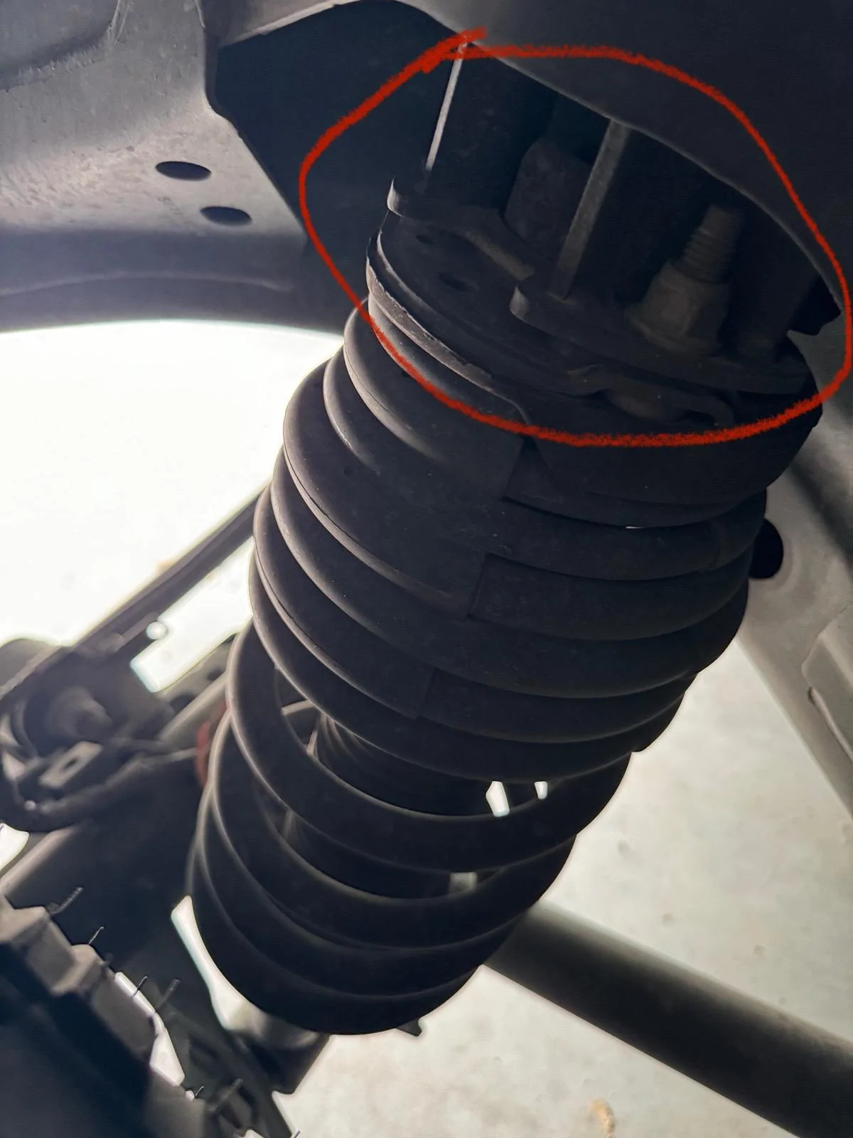Ford Bronco Lift kit? Or Leveling kit? IMG_1215