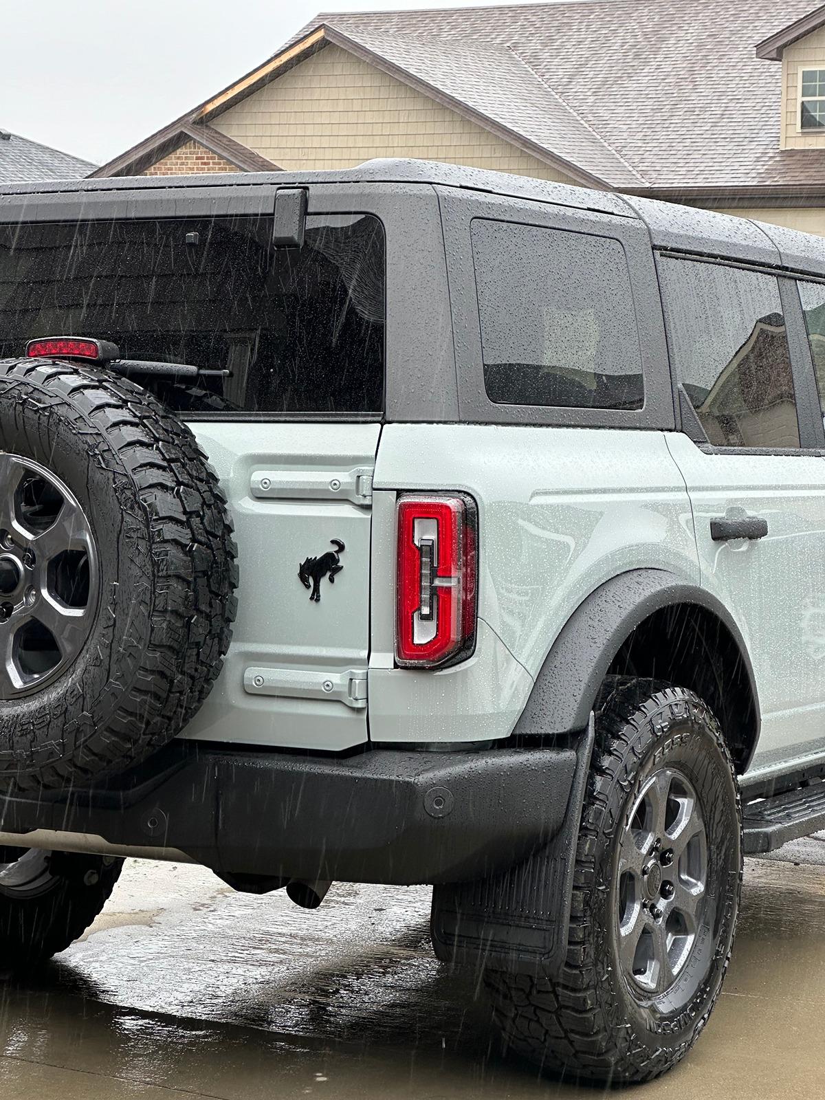 Ford Bronco Script emblem color in Cactus Grey IMG_2075