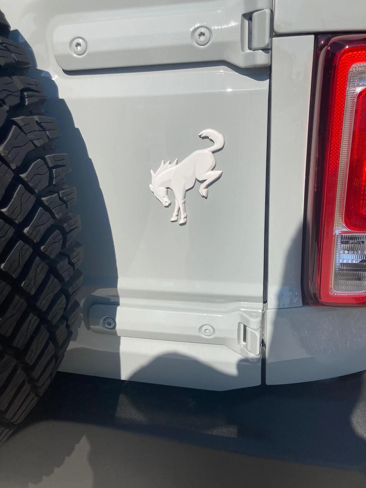 Ford Bronco Script emblem color in Cactus Grey IMG_5576