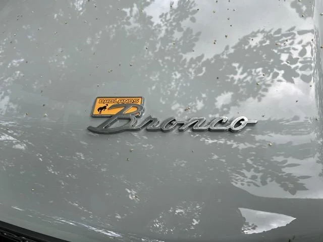 Ford Bronco Script emblem color in Cactus Grey 1717861049827-ul