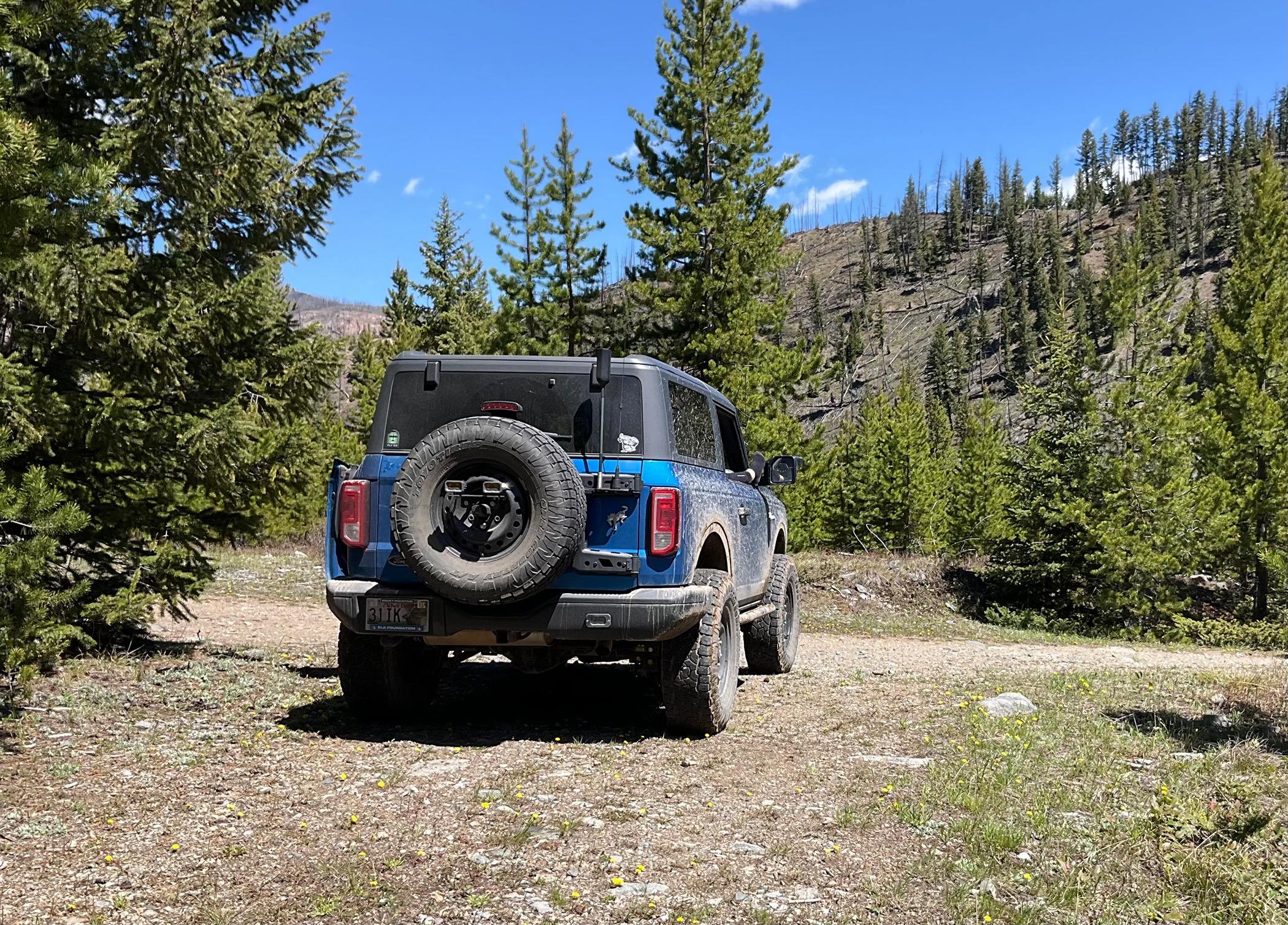 Ford Bronco Tushy Tuesday!! Let's see those Bronco Rear Ends! IMG_4136