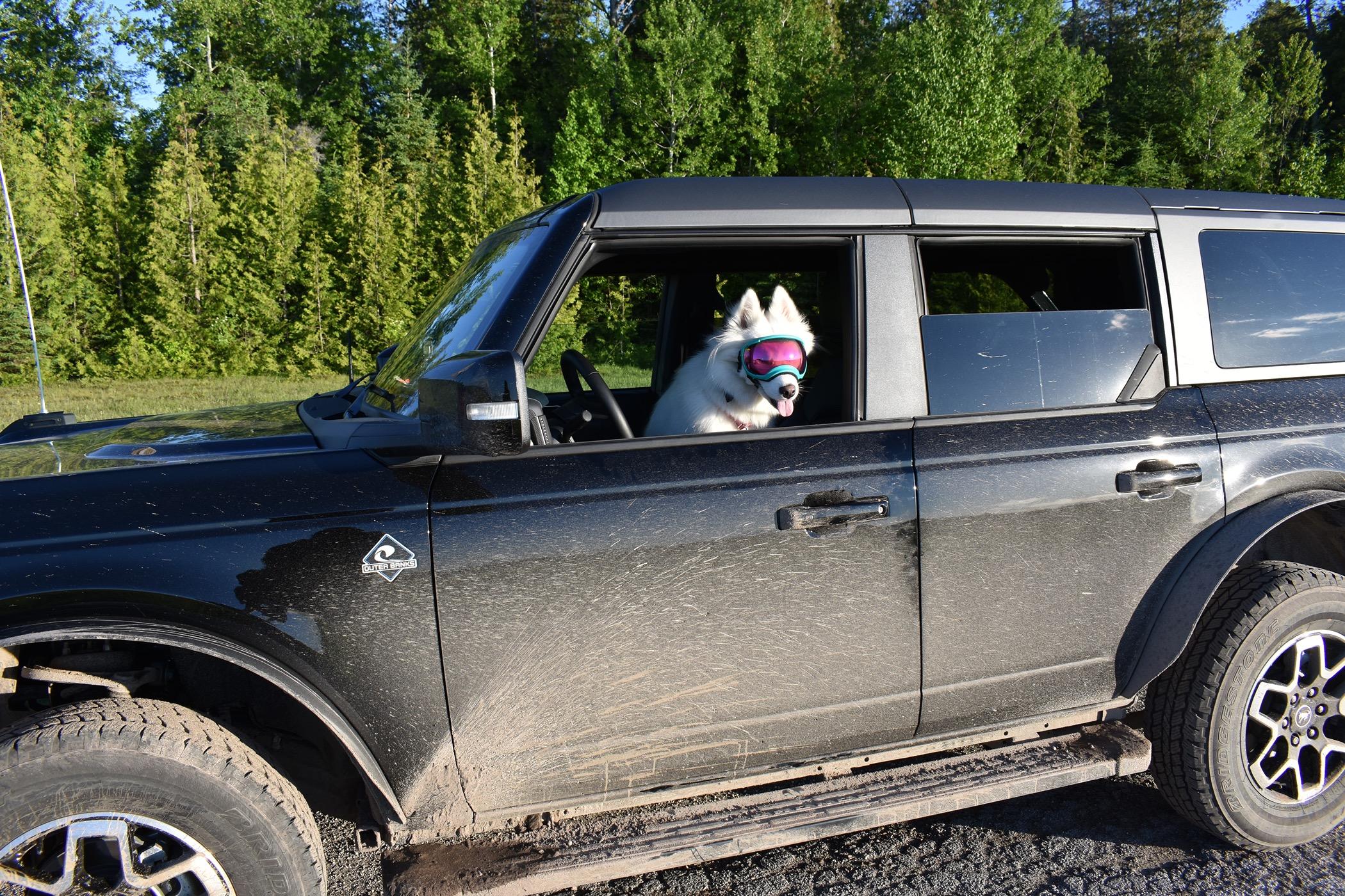 Ford Bronco Post your Bronco the Mac pics here! DSC_0848
