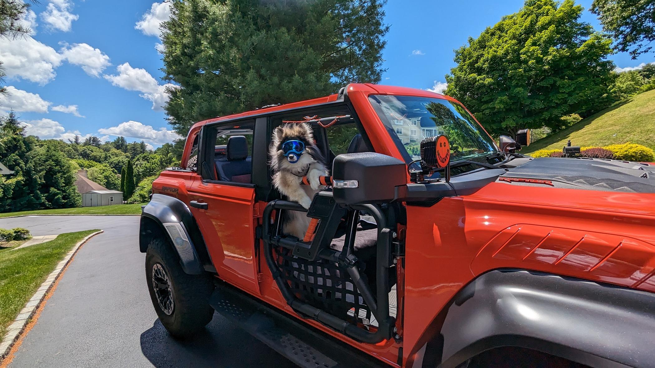 Ford Bronco What did you do TO / WITH your Bronco today? 👨🏻‍🔧🧰🚿🛠 PXL_20240610_170414289