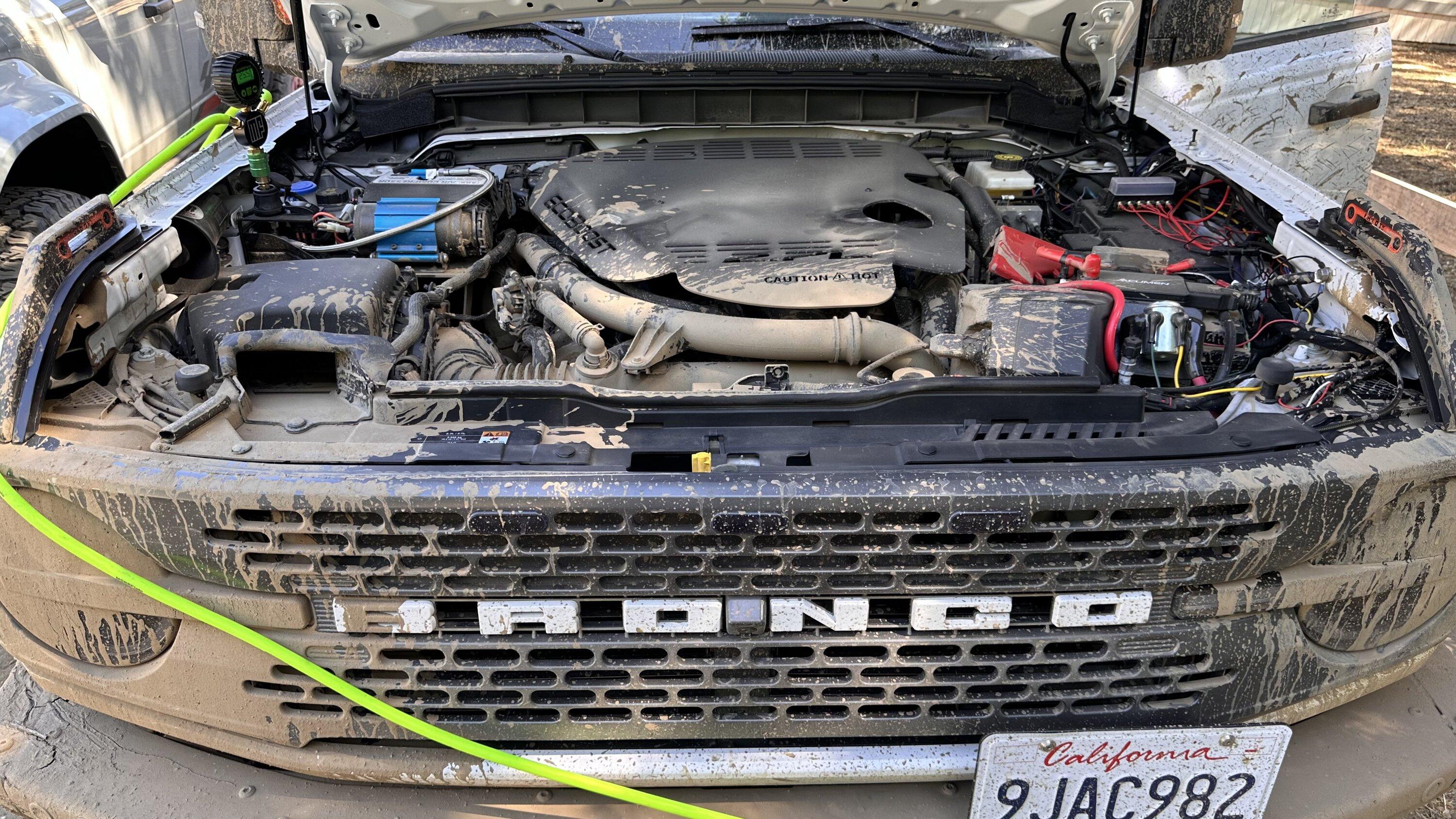 Ford Bronco Mud killed another alternator (or not?) IMG_3850