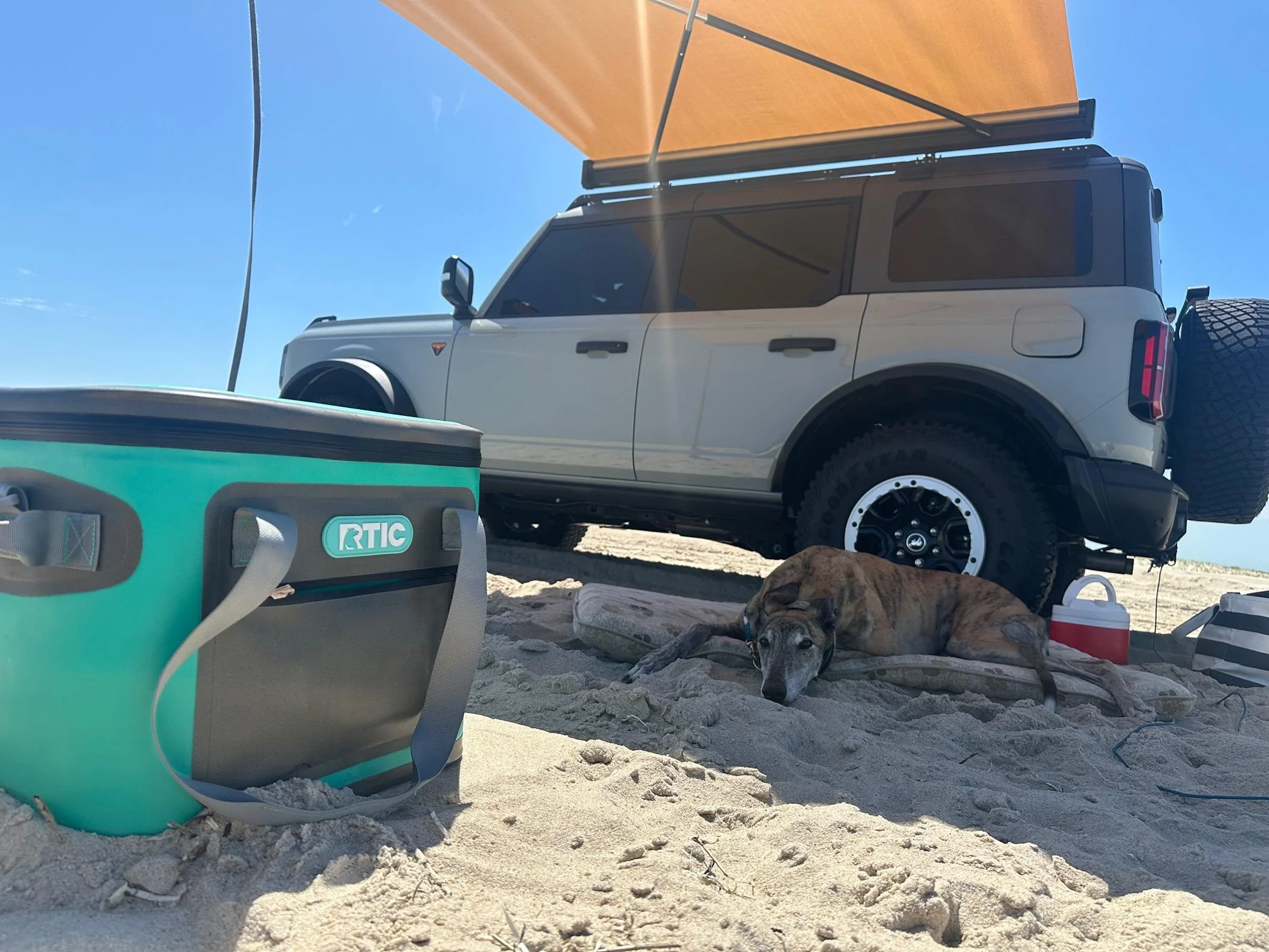 Ford Bronco What did you do TO / WITH your Bronco today? 👨🏻‍🔧🧰🚿🛠 IMG_9504