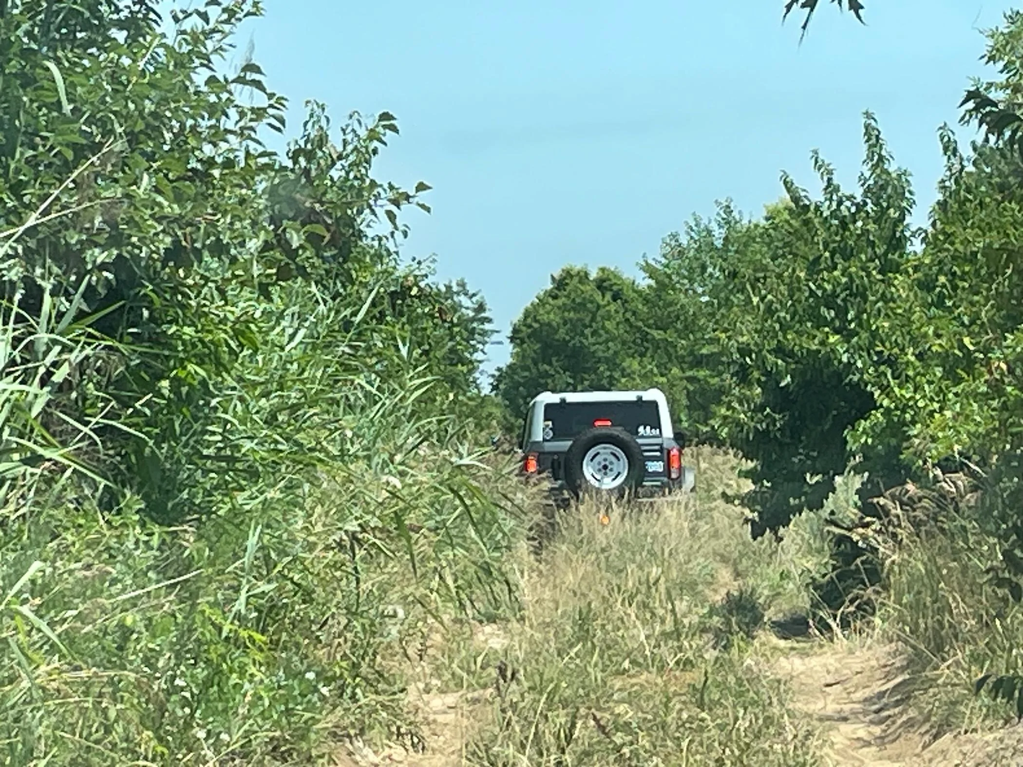 IMG_7819.jpeg