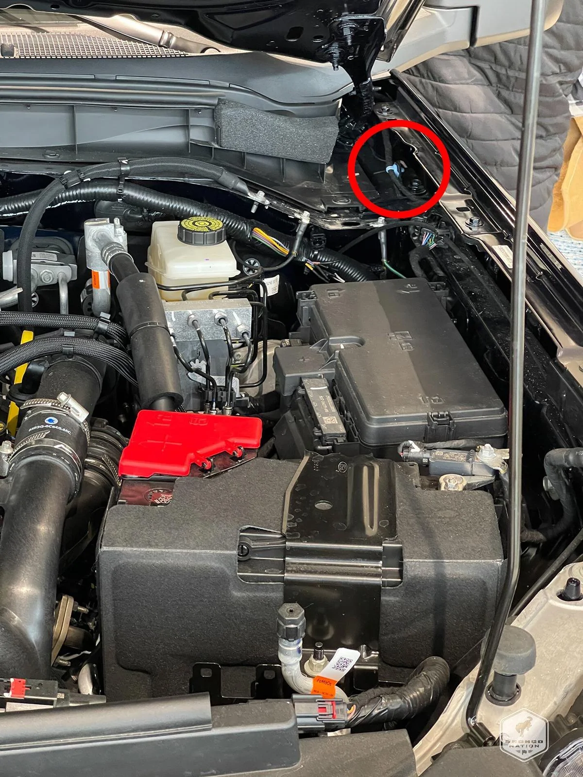 Ford Bronco Part Number Needed - Wire Clip 2.7L - Engine Bay-03-2 - PART # NEEDED
