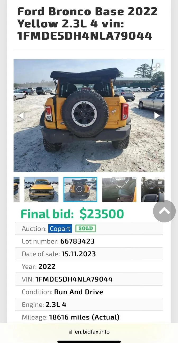 Ford Bronco Ran Across This… unnamed