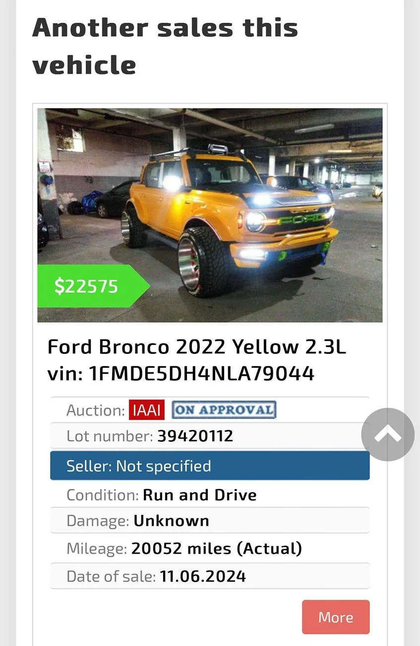 Ford Bronco Ran Across This… unnamed