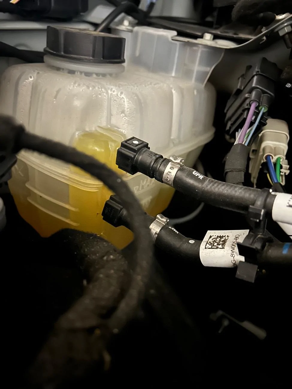 Ford Bronco Concern about my coolant IMG_2972