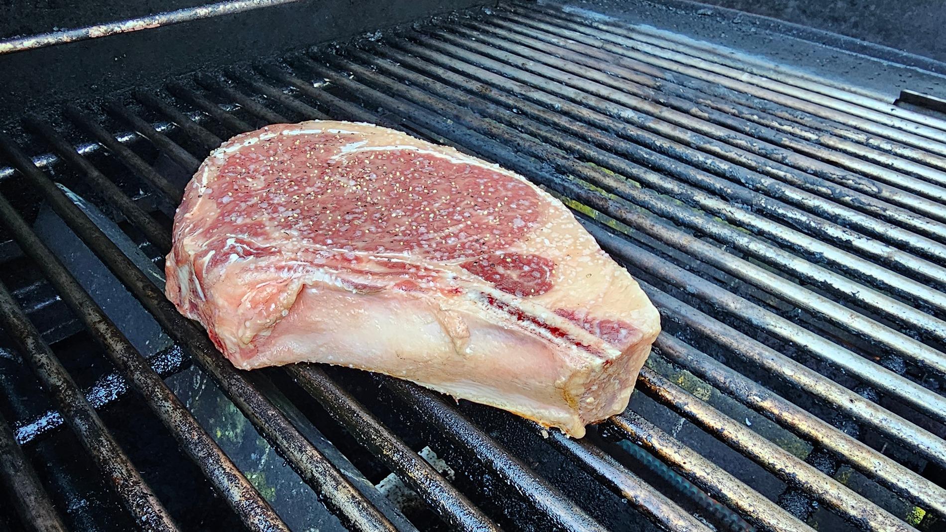 Ford Bronco Beef it's what's for dinner 20240701_185735