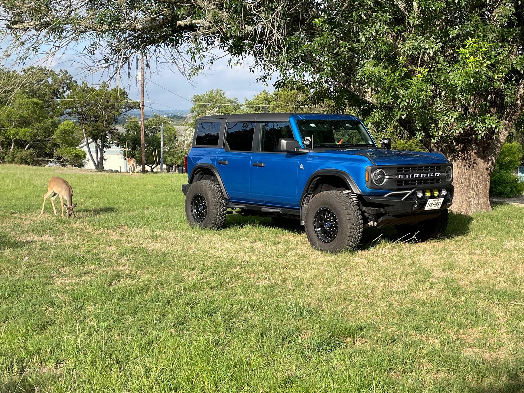 Ford Bronco Transformation Tuesday: Show Us Your Build Before-During-After! IMG_0825