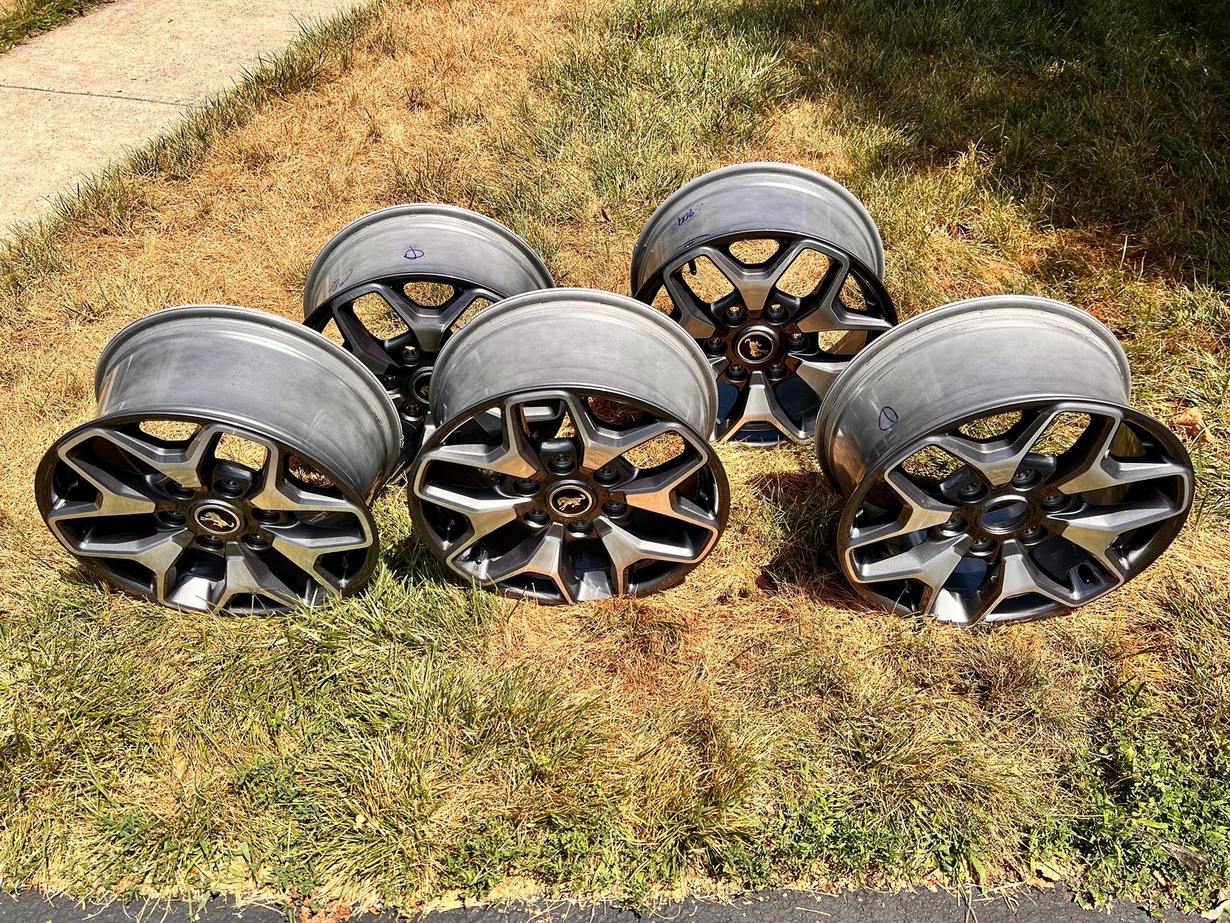 Ford Bronco Stock Badlands Wheels $400 IMG_7091
