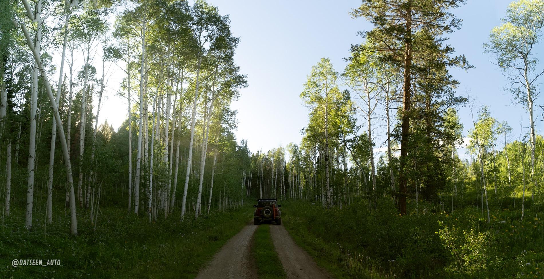 Ford Bronco Red Bandit rescues dog in Tetons and visits Yellowstone. 50k Mile Special Episode. DSC08895-Pano