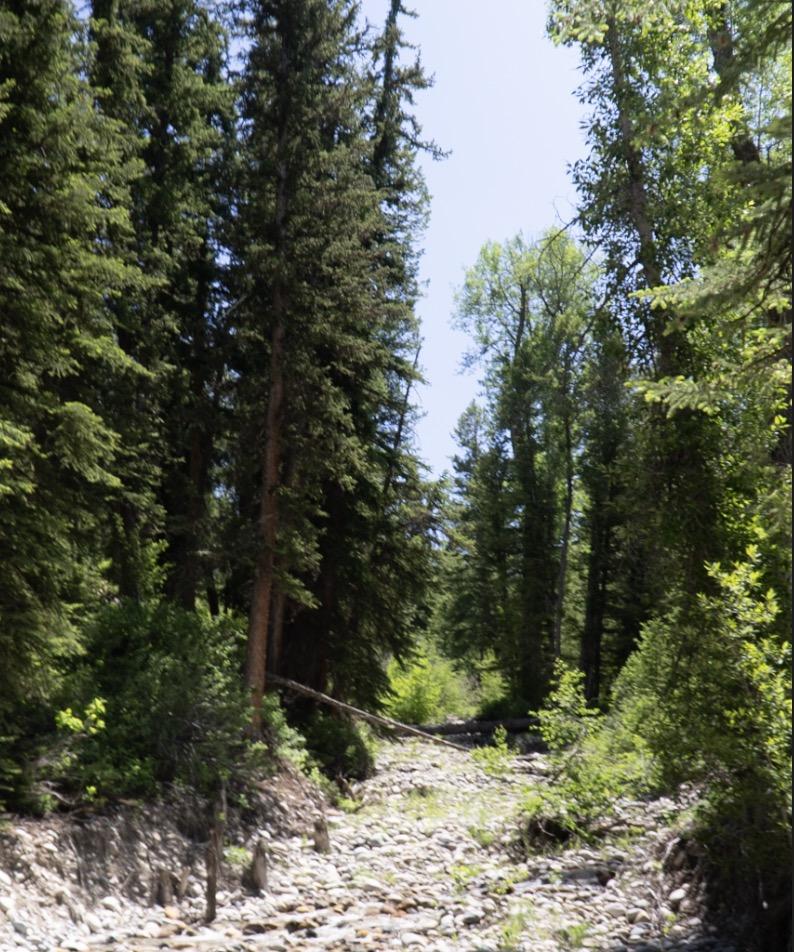 Ford Bronco Red Bandit rescues dog in Tetons and visits Yellowstone. 50k Mile Special Episode. Screenshot 2024-07-06 at 7.02.44 PM