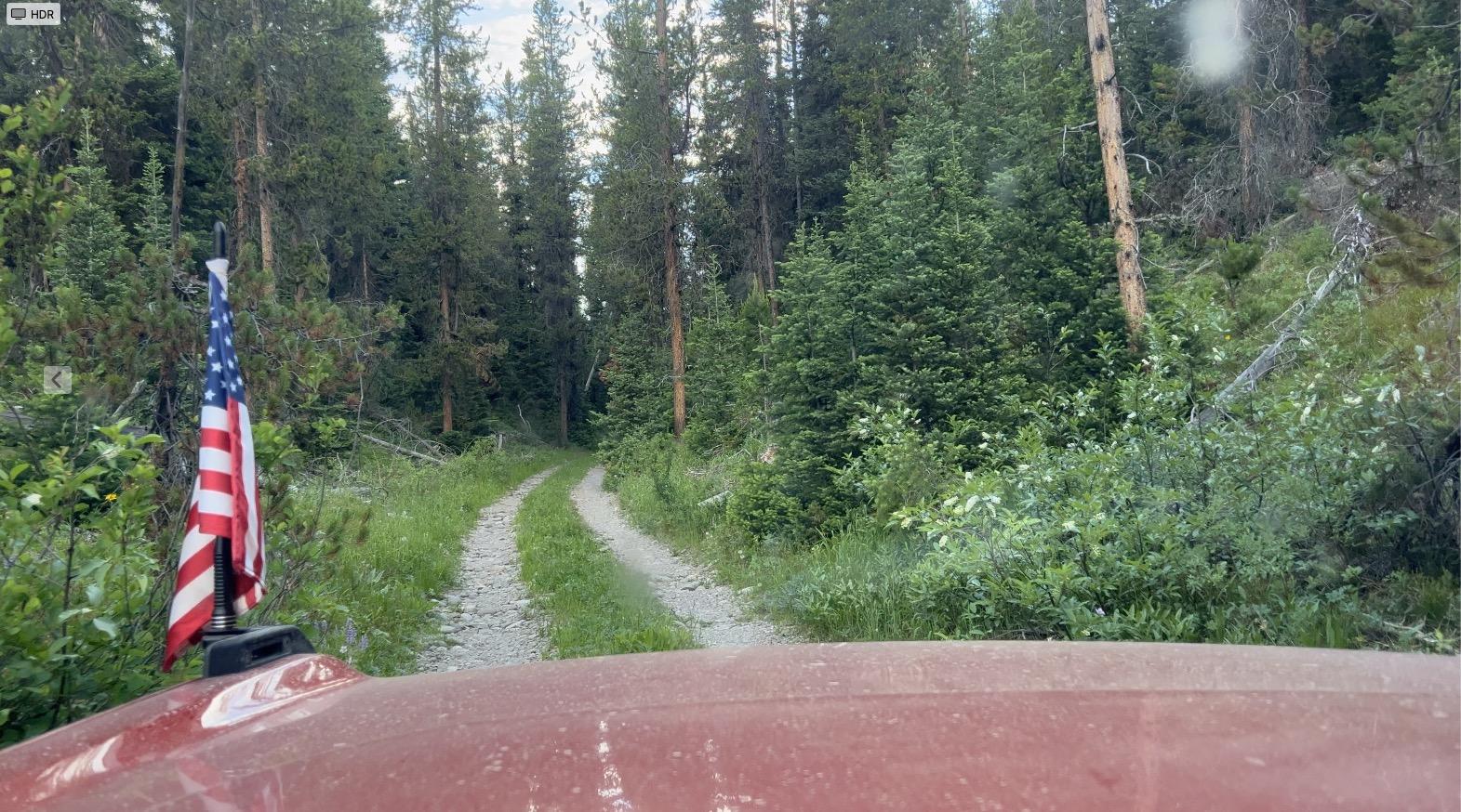 Ford Bronco Red Bandit rescues dog in Tetons and visits Yellowstone. 50k Mile Special Episode. Screenshot 2024-07-06 at 11.57.37 PM